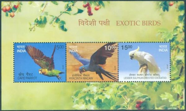 EXOTIC BIRDS 2